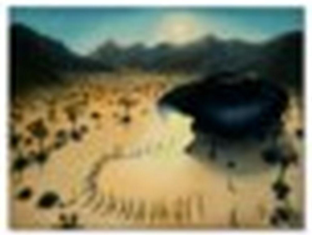 Dan Attoe comparable auction result: dan attoe b 1975 desert abduction