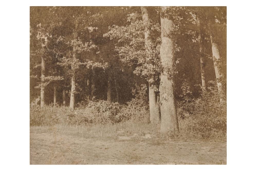 Charles Marville comparable auction result: charles marville 1813 1879