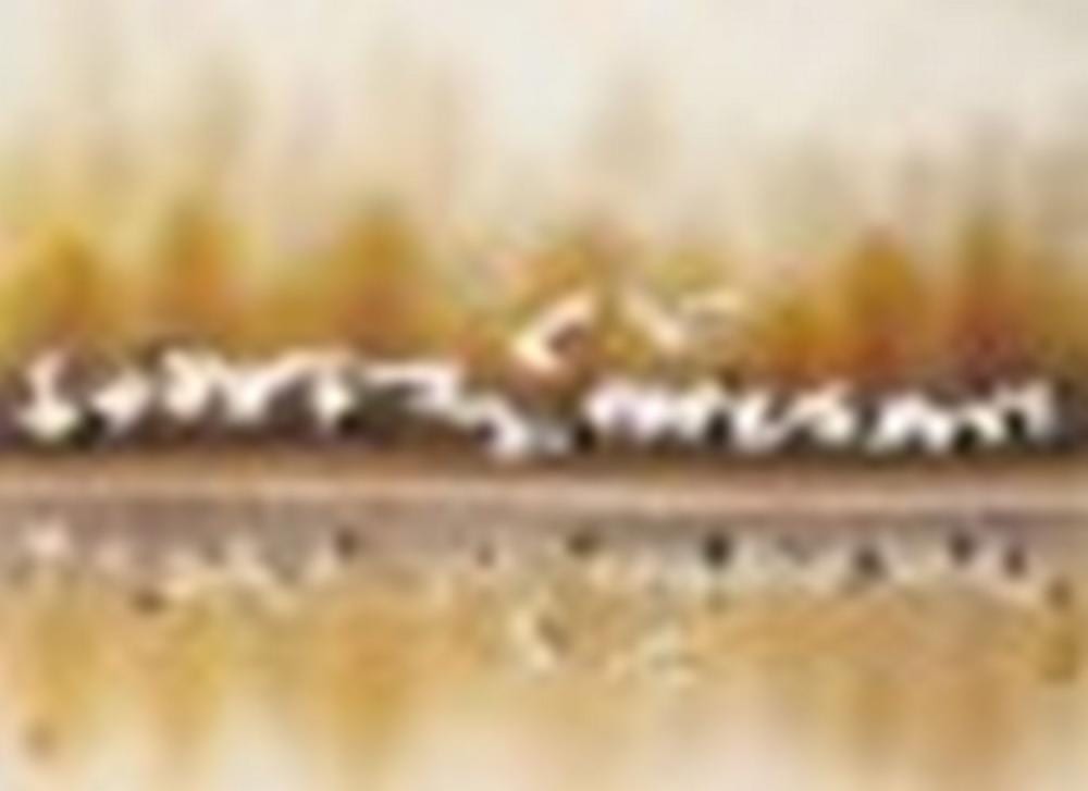 Hukui Lin comparable auction result: lin hukui lam wu fui b 1945 autumn cranes