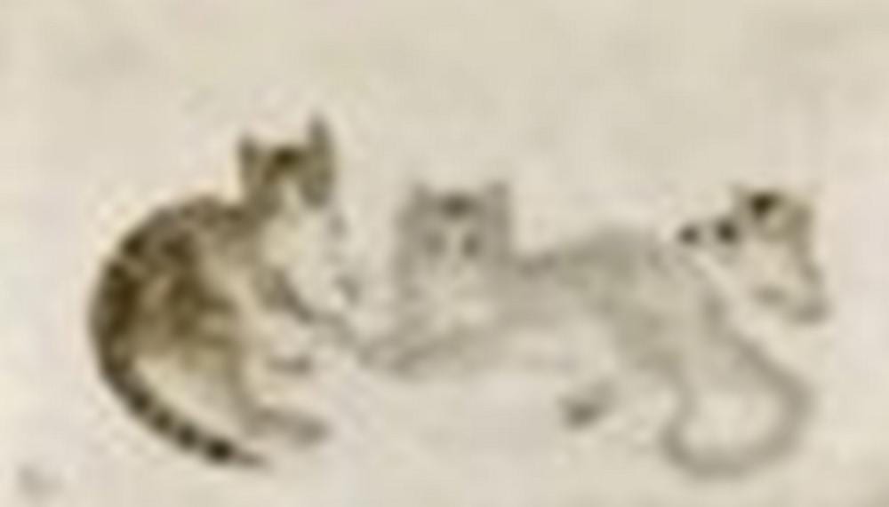 Leonard Tsuguharu Foujita (1886-1968) - Chats et chaton comparable sale