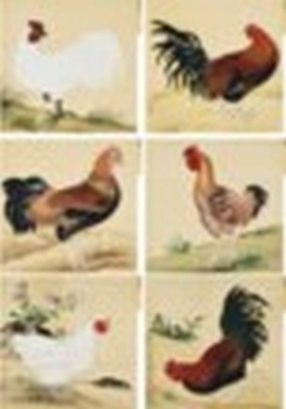 jiang tingxi 1669 1732 an imperial manual of birds roosters · Christie's · 2023-12-02 Tingxi Jiang comparable auction result: jiang tingxi 1669 1732 an imperial manual of birds roosters