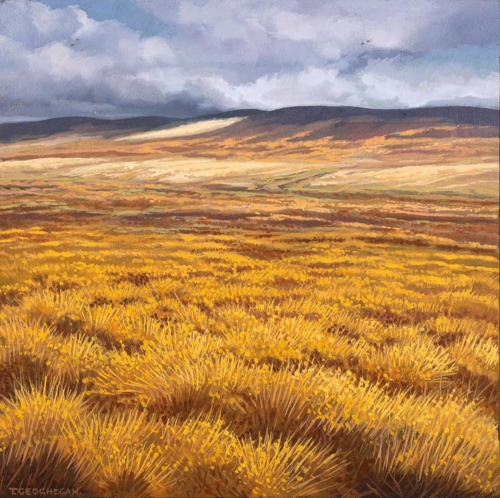 Trevor Geoghegan comparable auction result: trevor geoghegan 1946 2023 orange plain oil on canvas 37 5 x 37 5cm 14 x 14 signed also signed inscribed and dated 1987 verso