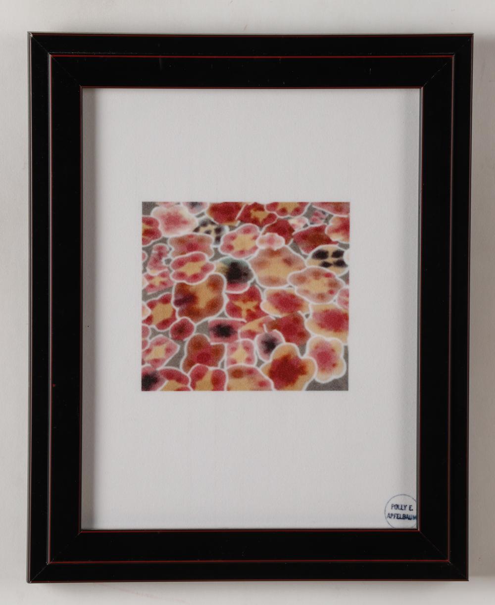 polly apfelbaum b 1955 untitled iris print · Material Culture · 2023-12-18 Polly Apfelbaum comparable auction result: polly apfelbaum b 1955 untitled iris print