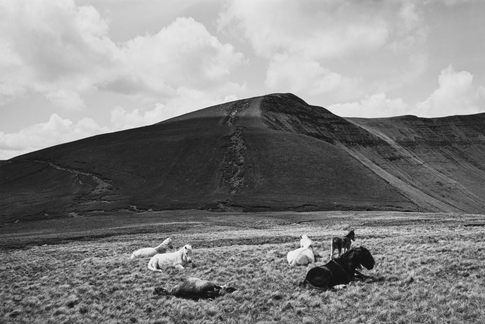 John Davies comparable auction result: john davies 1946 horses brecon beacons 1996