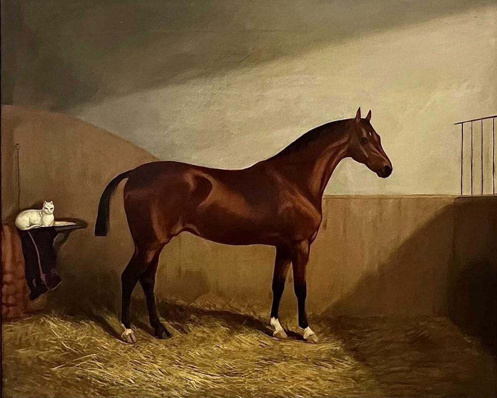 Martin Theodore Ward comparable auction result: martin theodore ward british 1799 1874