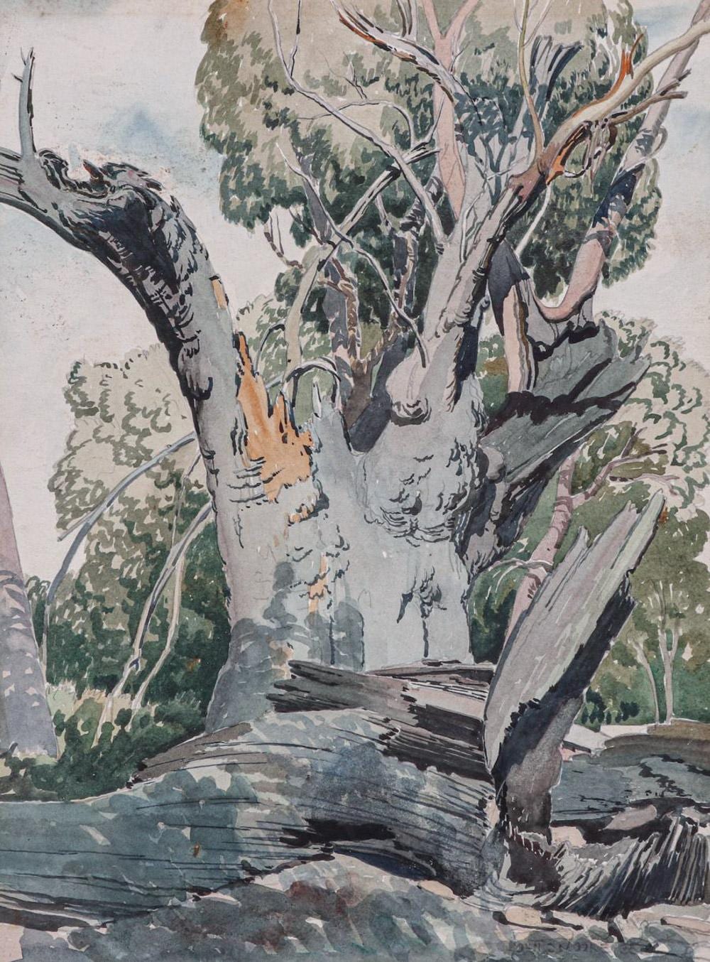 John D. Moore comparable auction result: john d moore watercolor study of a gum tree c1920s