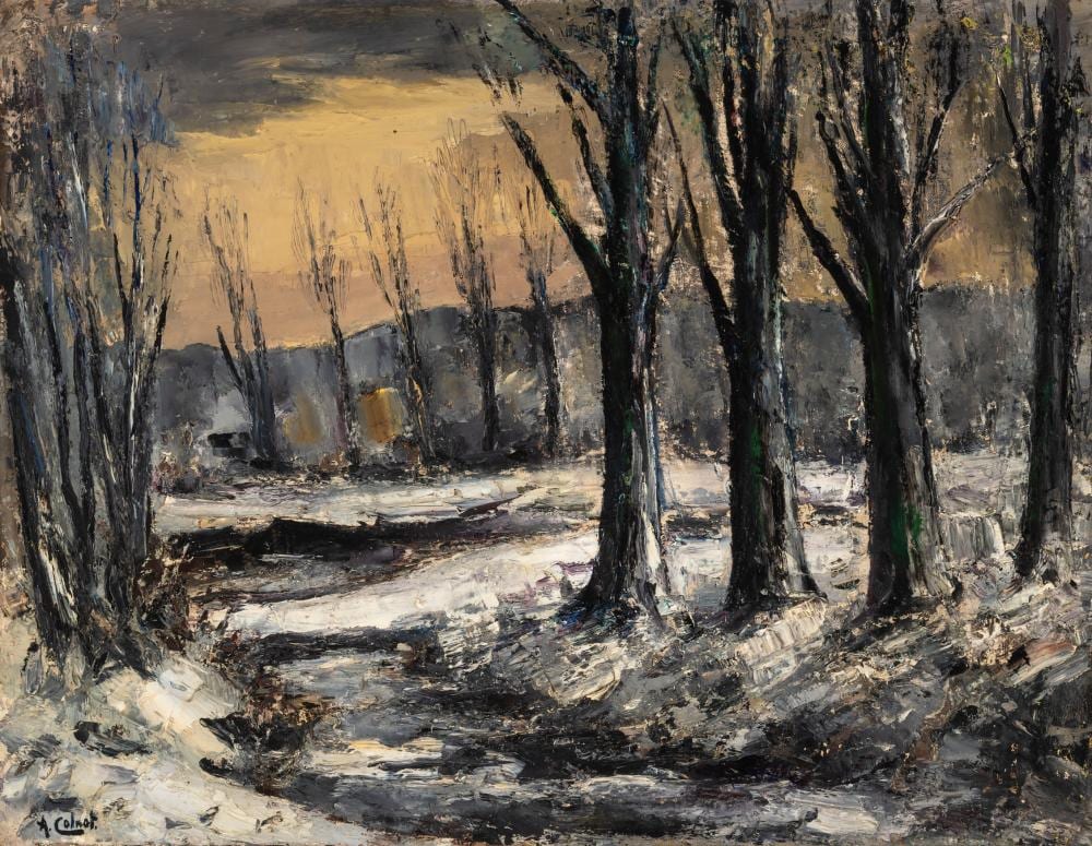 arnout colnot · AAG Auctioneers · 2023-12-11 Arnout Colnot comparable auction result: arnout colnot