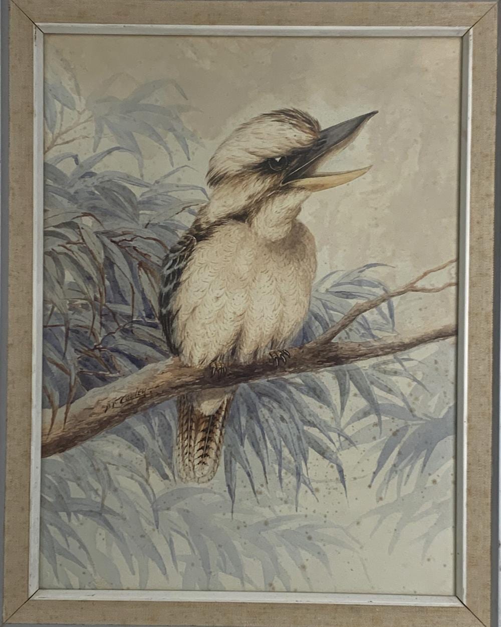 Neville (1886) Cayley comparable auction result: neville william cayley 1886 1950 kookaburra laughing