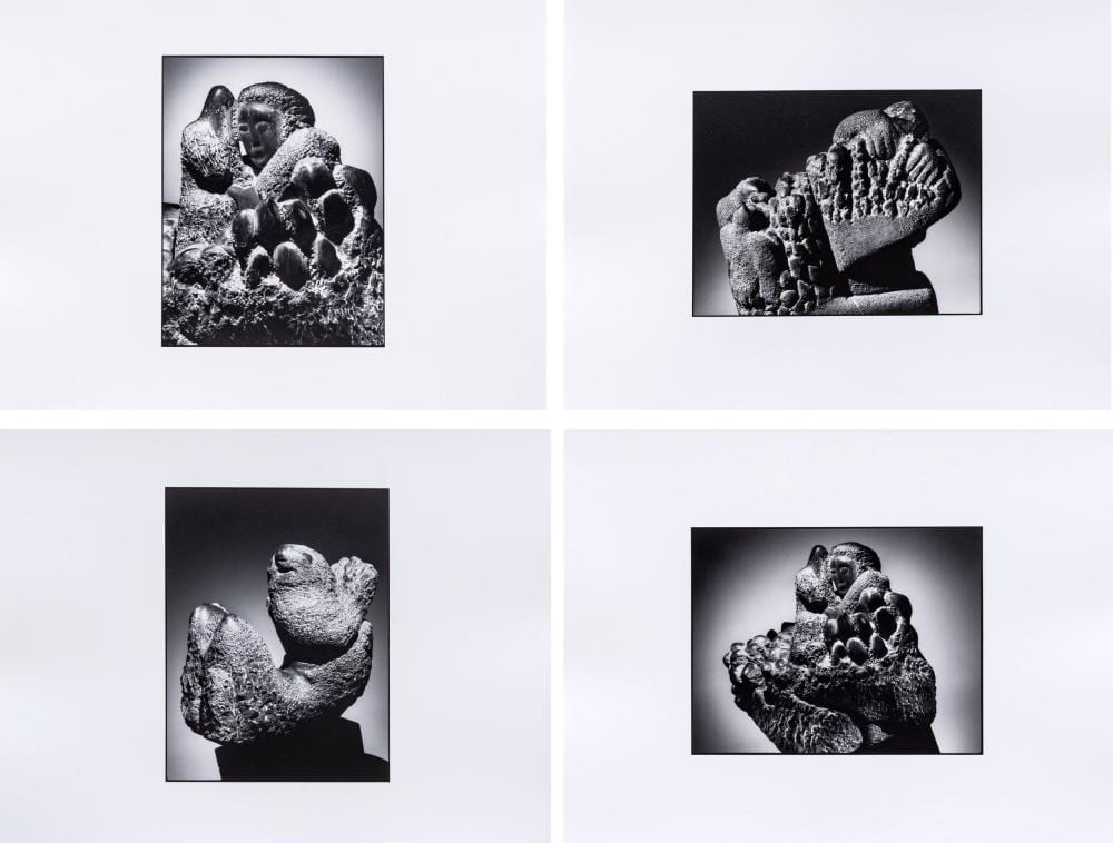 Mario Carrieri comparable auction result: mario carrieri sedici sculture di gino cosentino fotografate da mario carrieri