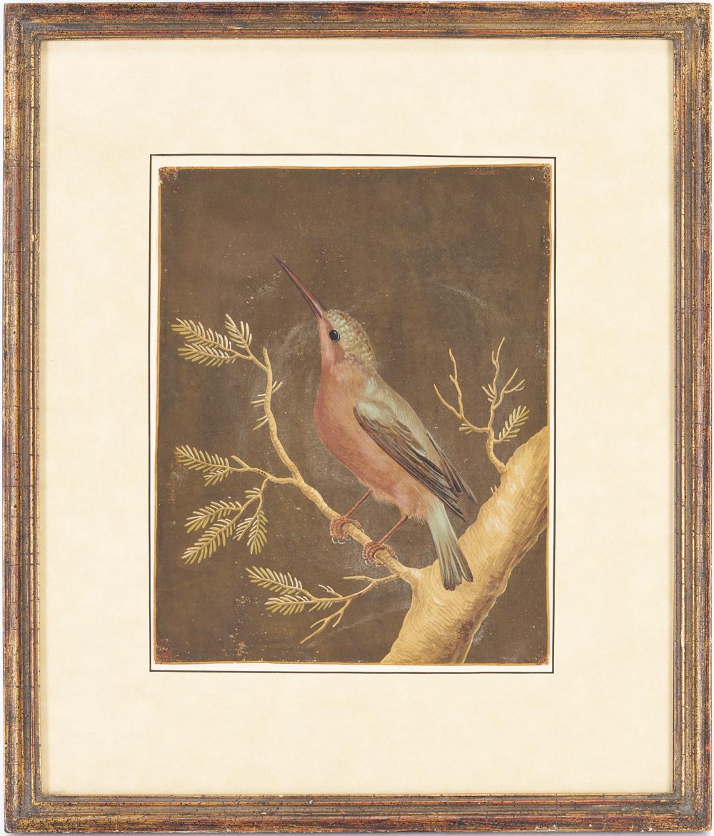 Barbara Regina Dietzsch comparable auction result: barbara regina dietzsch painting of bird on branch