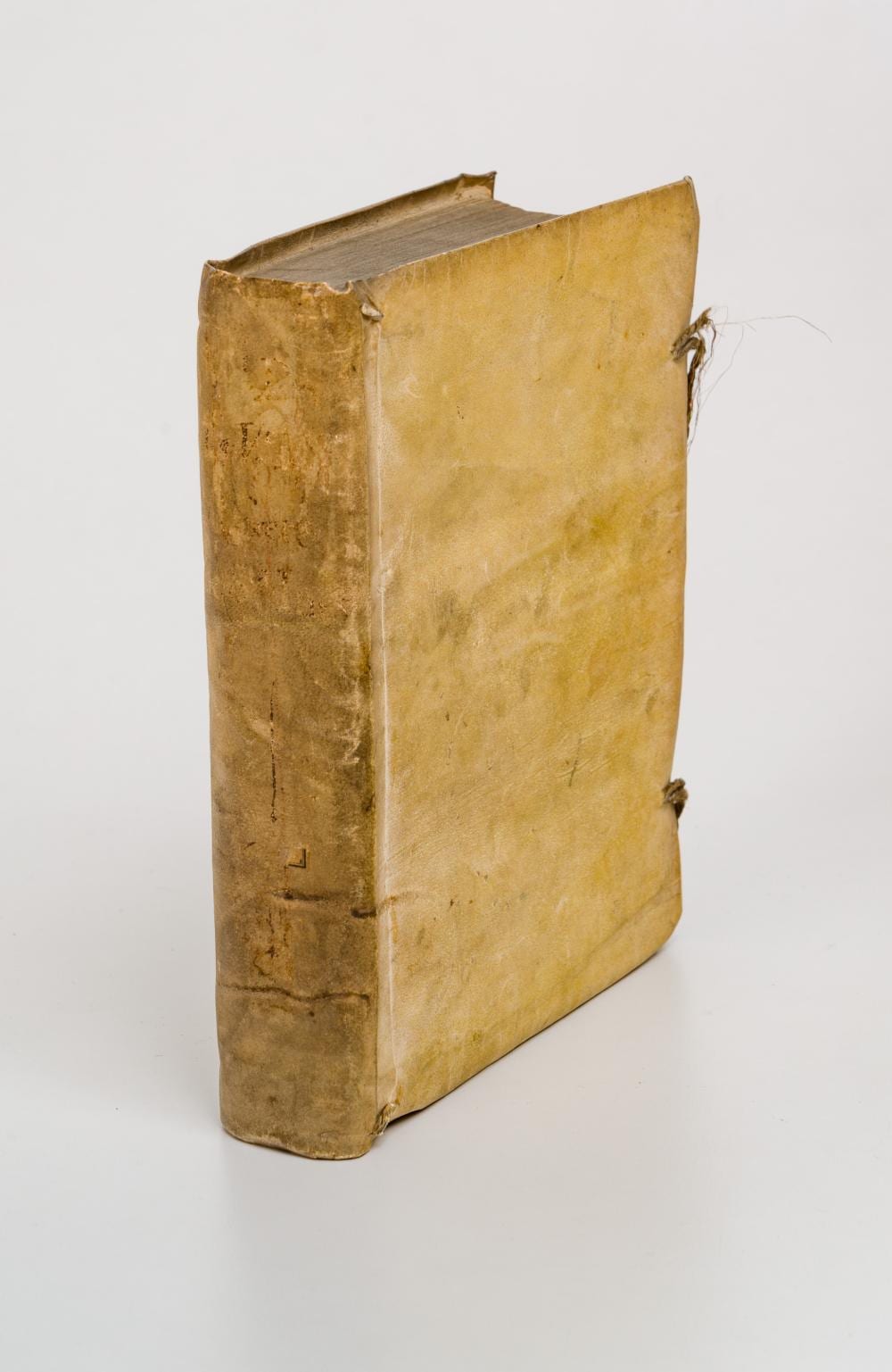 Historia de la singular vida y admirables virtudes de la venerable madre sor Maria Gertrudis Theresa de Santa Inés. comparable sale