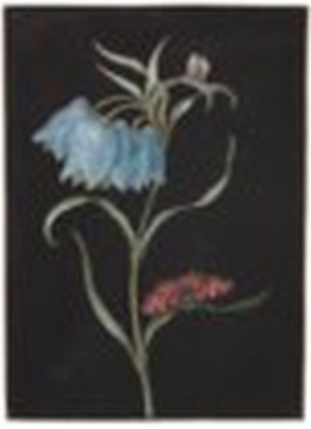 Barbara Regina Dietzsch comparable auction result: barbara regina dietzsch nuremberg 1706 1783 a blue snake s head fritillar