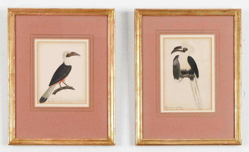 Heinrich Gottlieb Ludwig Reichenbach comparable auction result: heinrich gottlieb ludwig reichenbach german 1793 1879