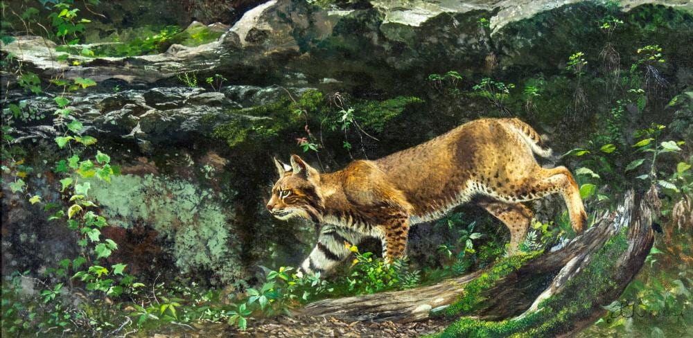 travis keese tx born 1932 oil painting · Broward Auction Gallery LLC · 2024-03-17 Travis Keese comparable auction result: travis keese tx born 1932 oil painting