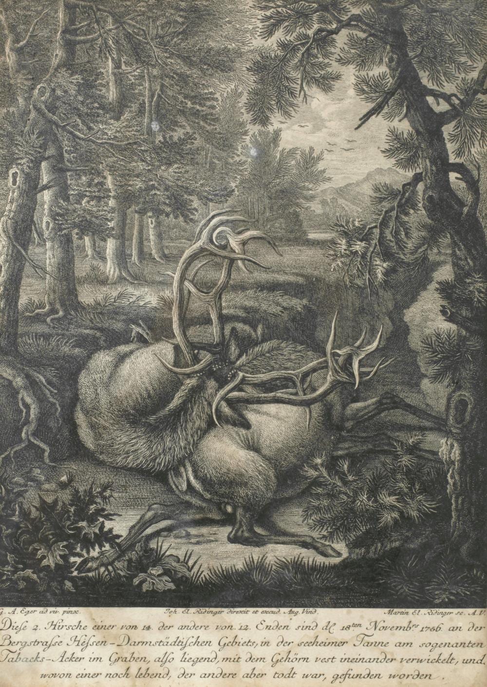 Martin Elias Ridinger comparable auction result: martin elias ridinger zwei tote hirsche im wald