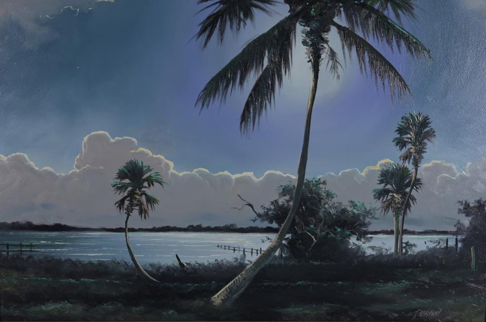 Tracy Newton comparable auction result: tracy newton american b 1975