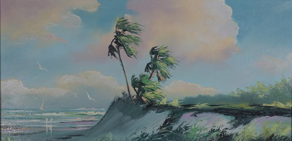 Tracy Newton comparable auction result: tracy newton american b 1975