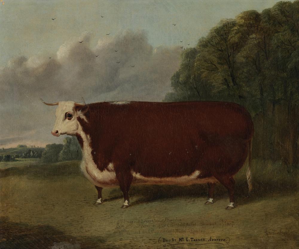 Richard Whitford comparable auction result: richard whitford british circa 1821 1890 hereford prize heifer in a landscape