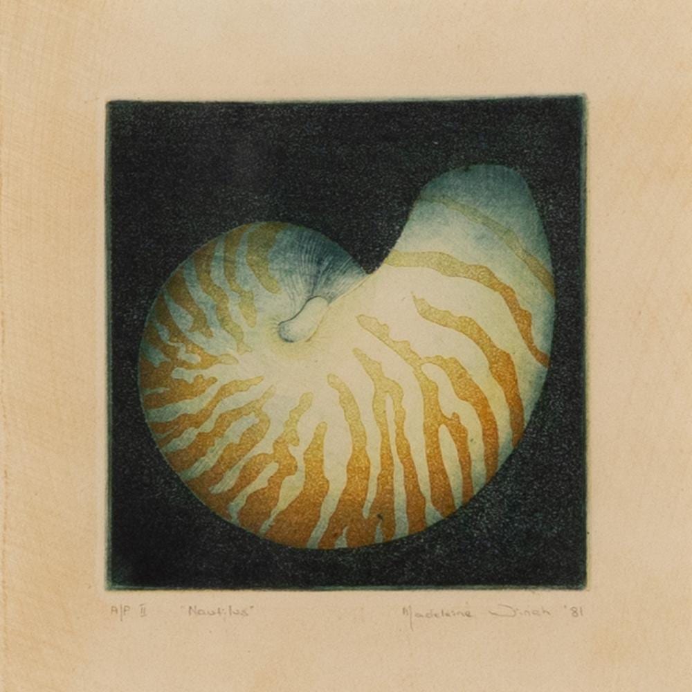 Madeleine Winch comparable auction result: madeleine winch nautilus shell 1981 etching artists proof ii image size 15 x 14 5cm frame size 46 x 43cm