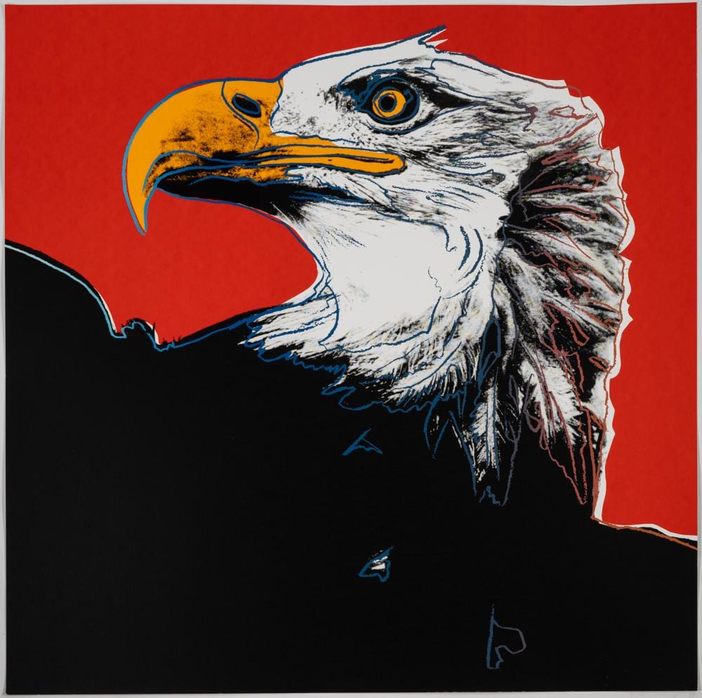 Close-up of a bald eagle portrait graphic with a white-and-black head and yellow beak on a red background.