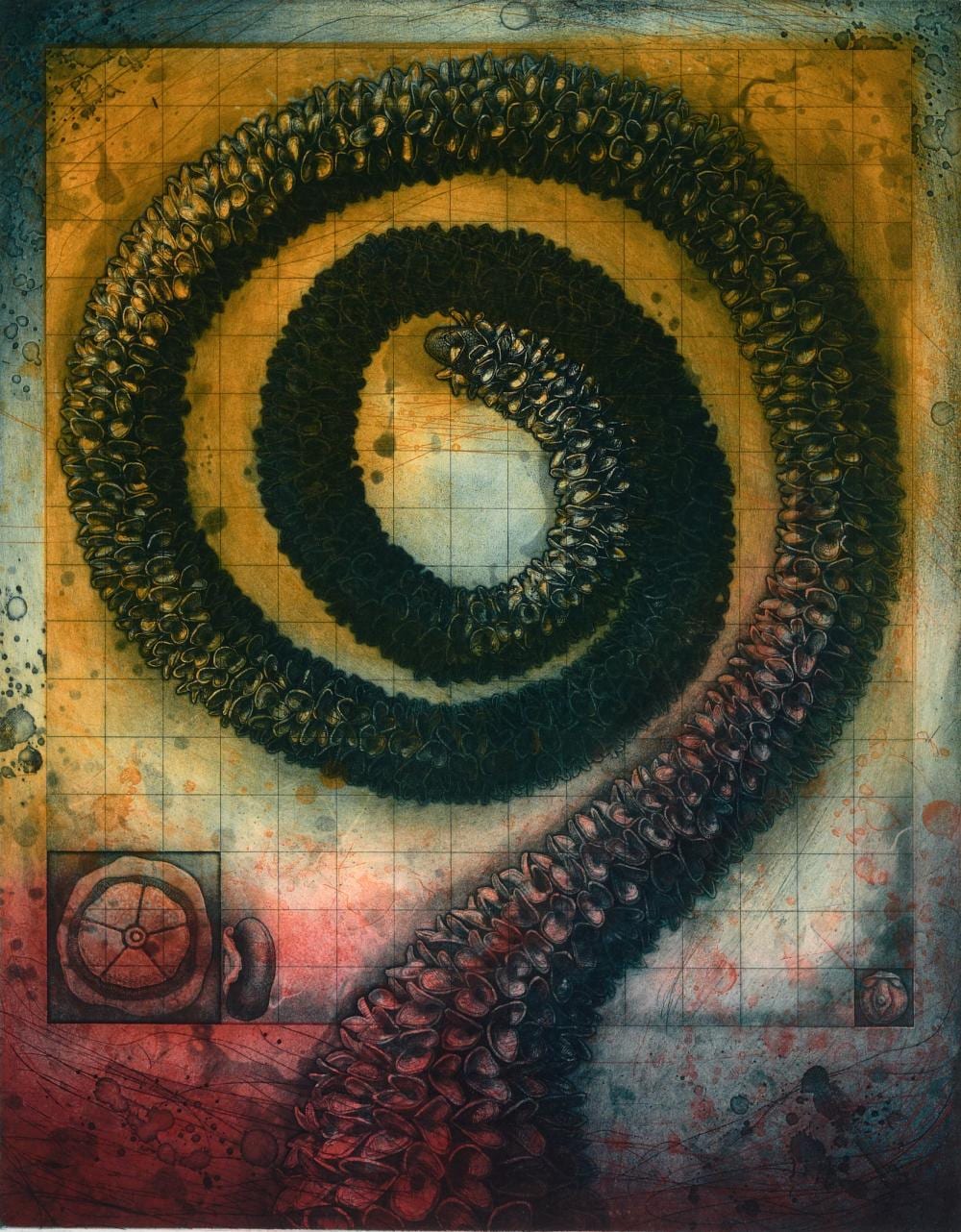 Michael Kempson comparable auction result: michael kempson 1961 banksia spiral 1998 etching and aquatint ed 43 80 63 x 50 cm frame 108 x 94 x 3 cm