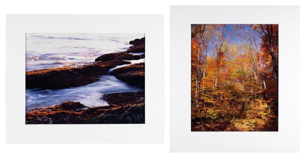 John Wawrzonek comparable auction result: john wawrzonek american b 1941