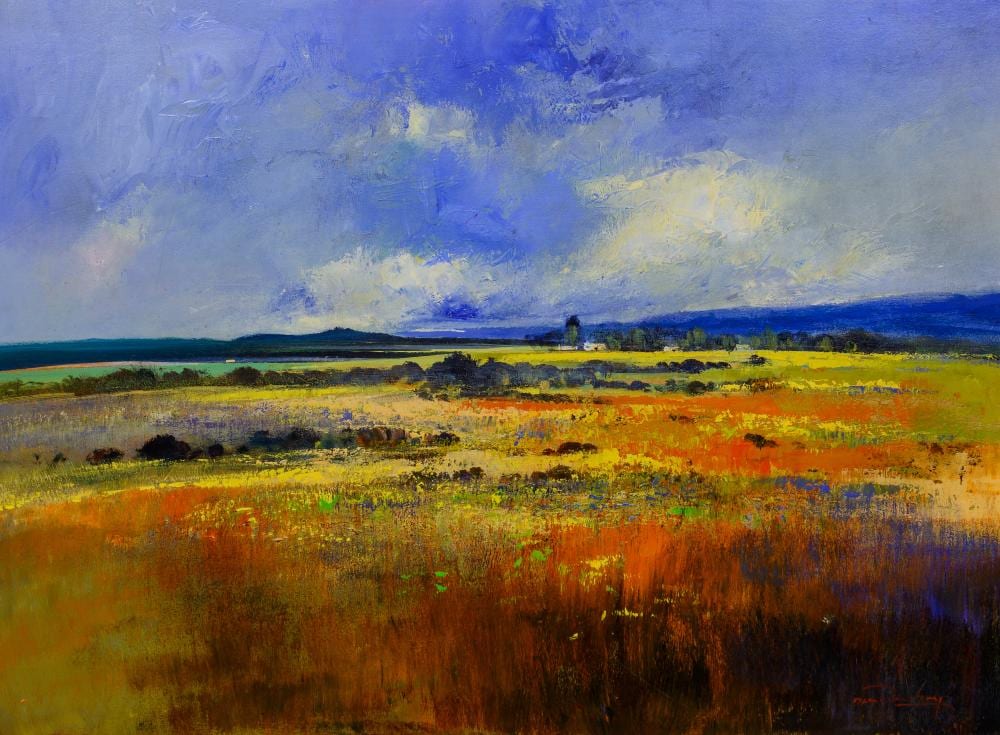 Derric van Rensburg comparable auction result: derric van rensburg sa born 1952 oil swartland west coast signed titled verso 90 x 120