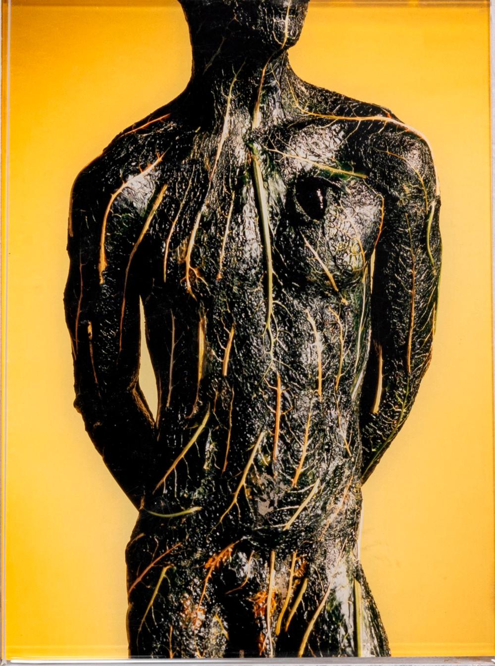 Robert Gligorov comparable auction result: robert gligorov vegeto vegetalis