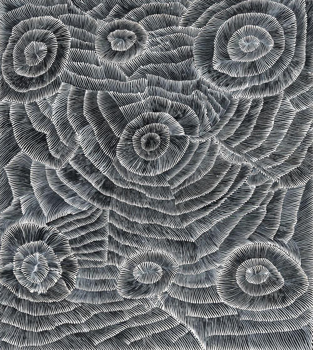 Lily Sandover Kngwarreye comparable auction result: lily sandover kngwarreye c1942 2003 alhwert dreaming 2000 acrylic on linen 134 x 120 x 3 cm ready to hang signed verso