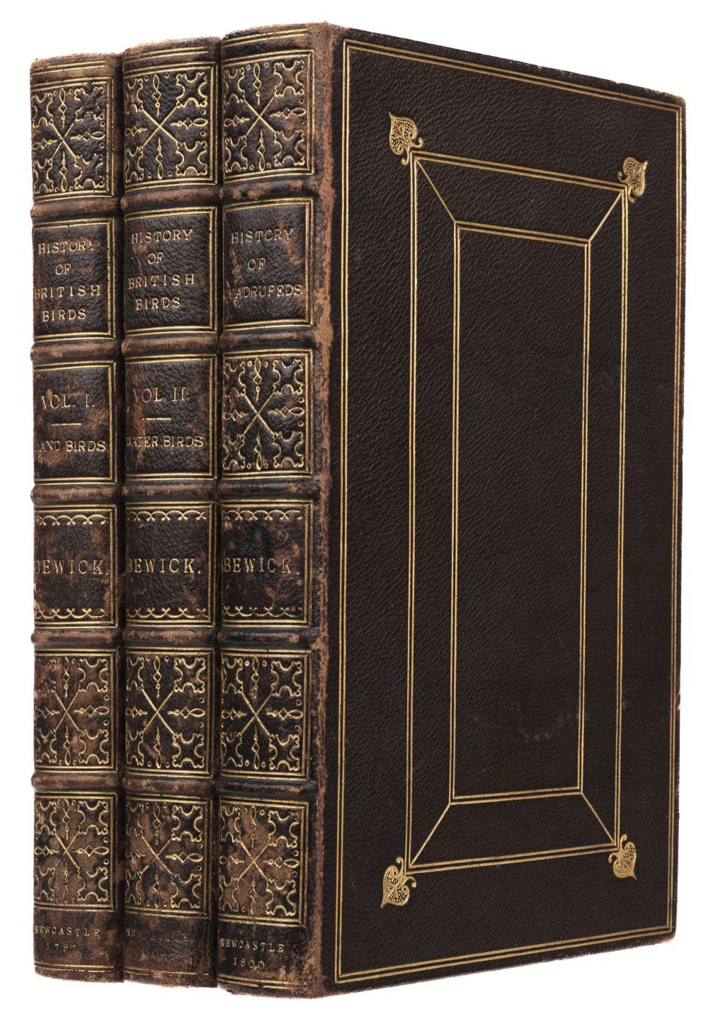 Bewick (Thomas). History of British Birds (Land & Water Birds), 2 vols., 1st ed., 1797-1804 sold by Dominic Winter Auctions, lot 637 — auction record photograph