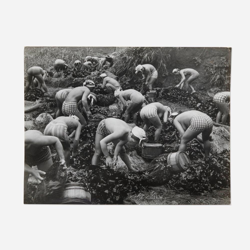 Yoshiyuki Iwase comparable auction result: yoshiyuki iwase seaweed harvest
