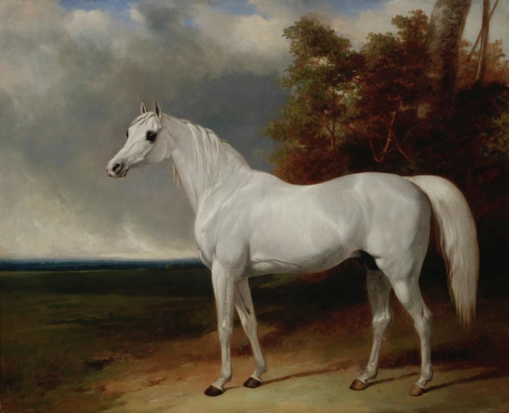 Abraham Cooper comparable auction result: abraham cooper british 1787 1868 portrait of adonis the favourite charger of george iii