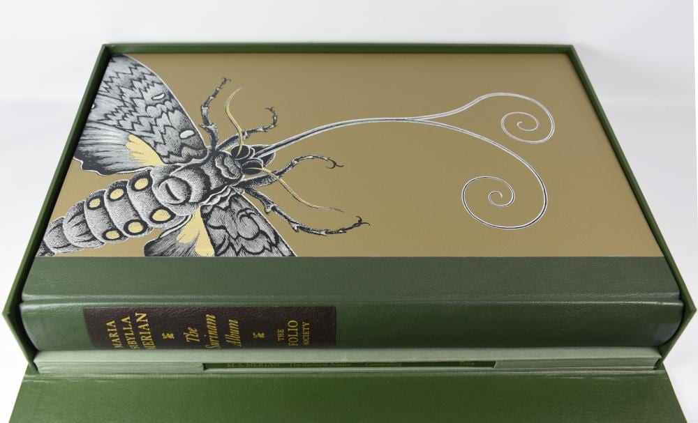 maria sibylla merian 1647 1717 · McKenzies Auctioneers · 2024-03-19 Maria Sibylla Merian comparable auction result: maria sibylla merian 1647 1717