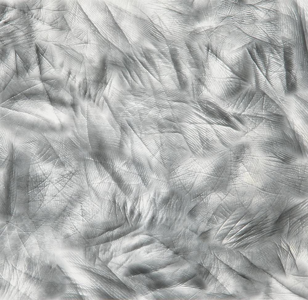 Daniel Canogar comparable auction result: daniel canogar life lines