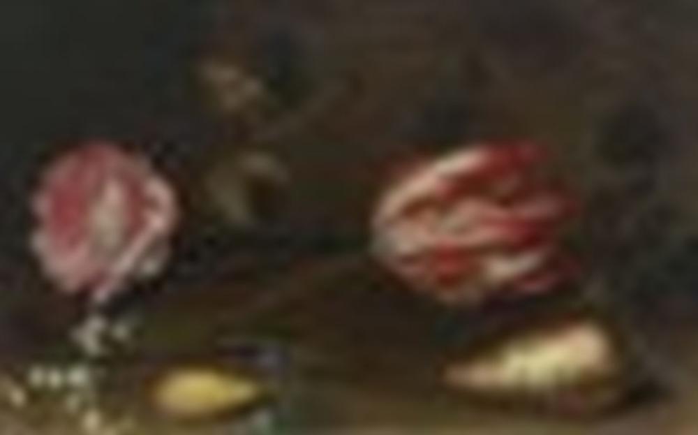 Balthasar van der Ast comparable auction result: balthasar van der ast middelburg 1593 1657 delft a rose a tulip insect