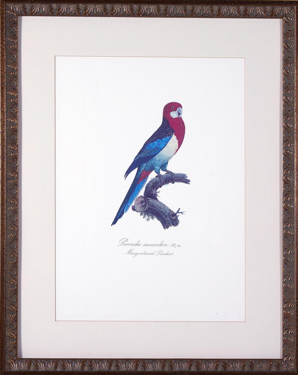 Francois Levaillant comparable auction result: francois levaillant after 2pcs