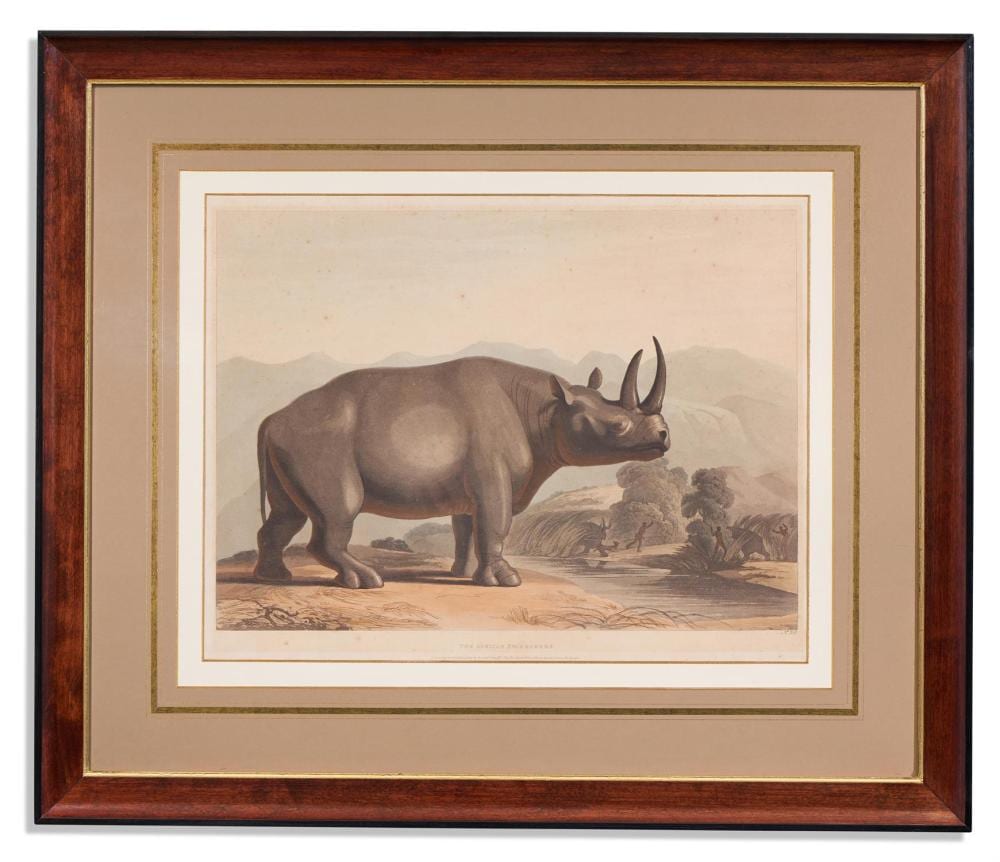 Samuel Daniell comparable auction result: samuel daniell british 1775 1811 a set of four african antelopes and a rhino 5