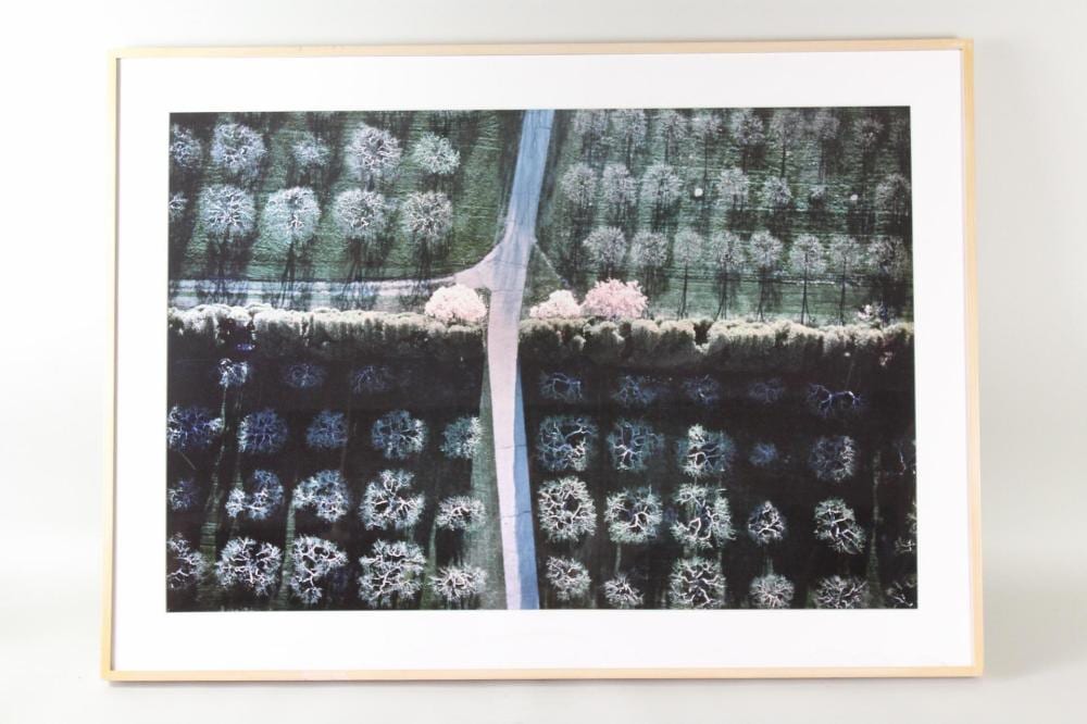 Alexander (1867) Maclean comparable auction result: alex maclean newport ri blossoms aerial photograph