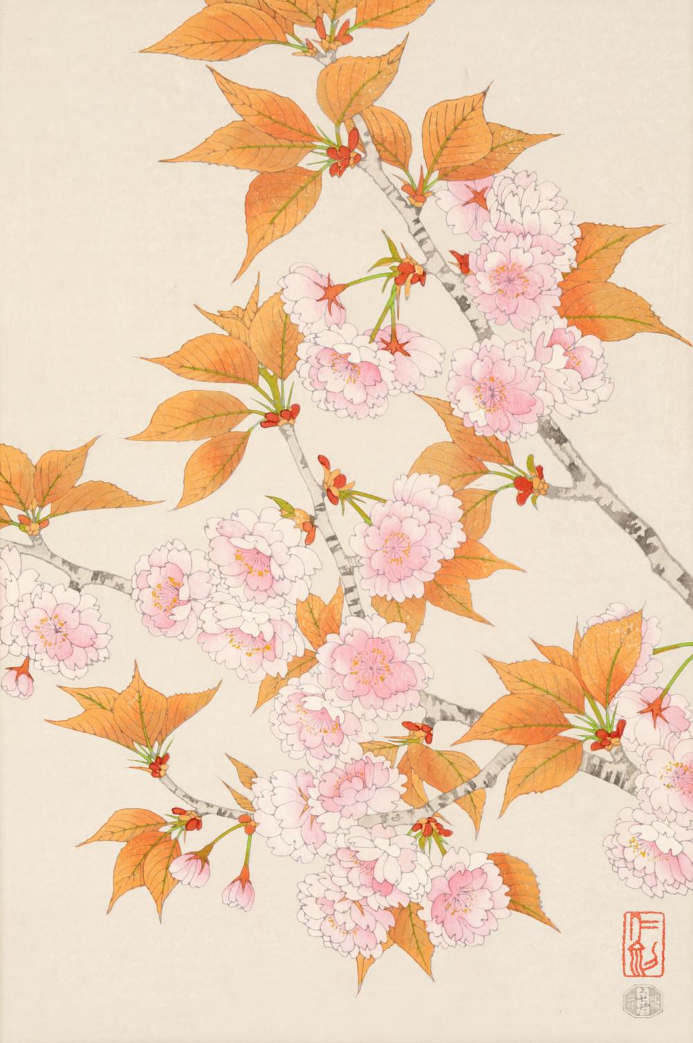 Nisaburo  Ito comparable auction result: ito nisaburo blossoming cherry branches