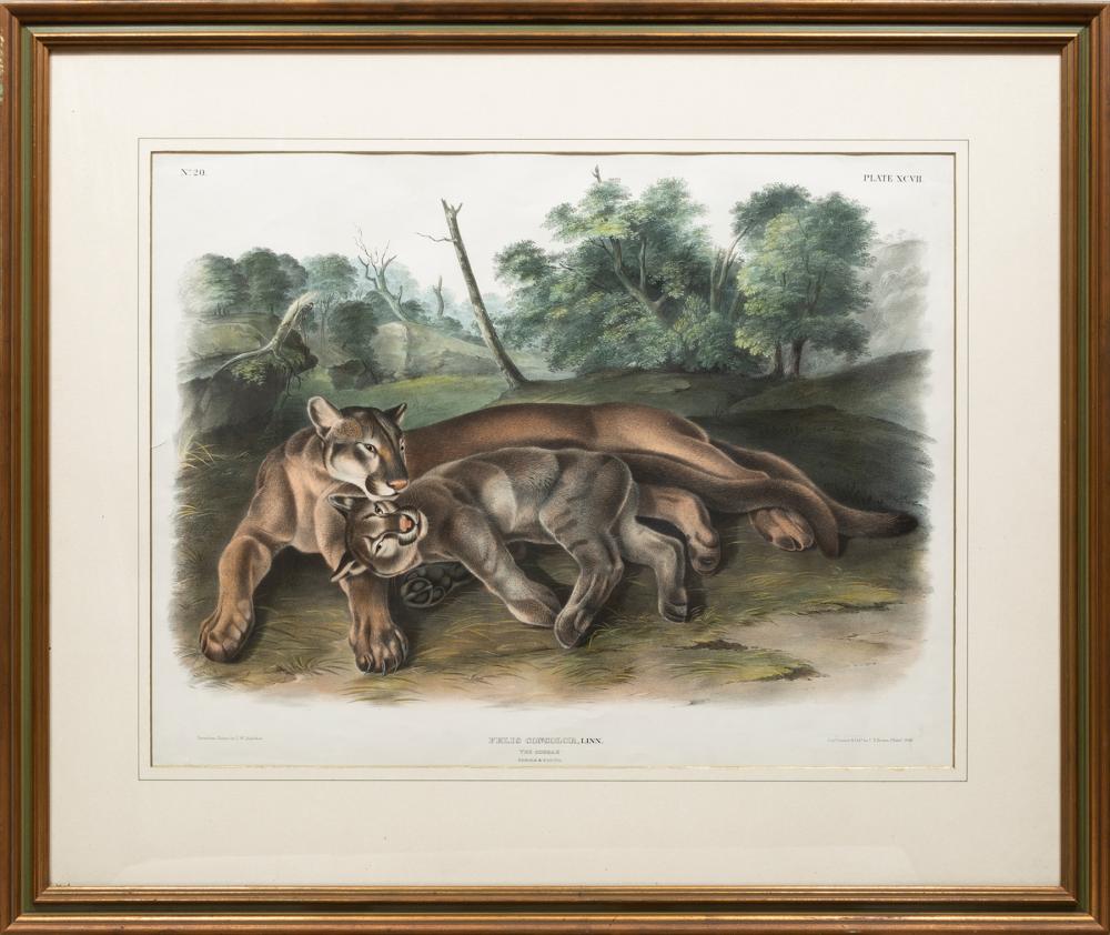 John Woodhouse Audubon comparable auction result: john woodhouse audubon american 1812 1862