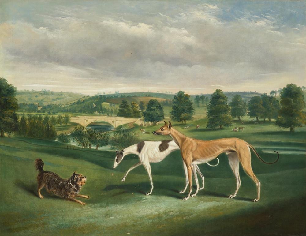 John Charles Maggs comparable auction result: john charles maggs british 1819 1895 terrier and greyhounds