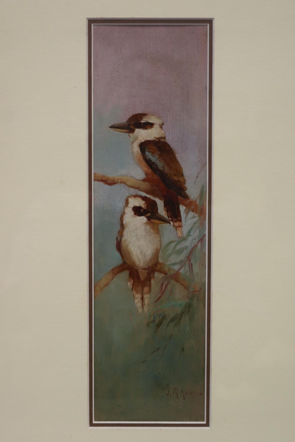 Julian Rossi Ashton comparable auction result: julian rossi ashton 1851 1942 two kookaburras on branches oil on board signed lower right j r ashton approx 27 5cm h x 8cm w