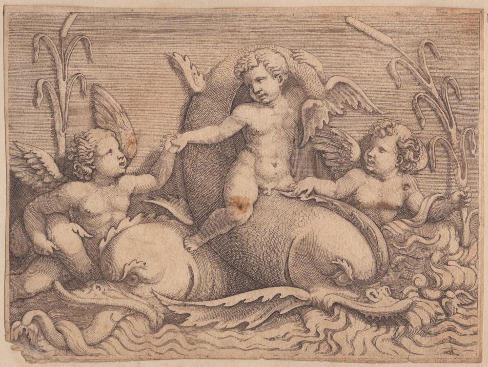 adamo scultori 1530 1585 three putti with sea monsters · Bertolami Fine Art s.r.l. · 2024-04-19 Adamo Scultori comparable auction result: adamo scultori 1530 1585 three putti with sea monsters