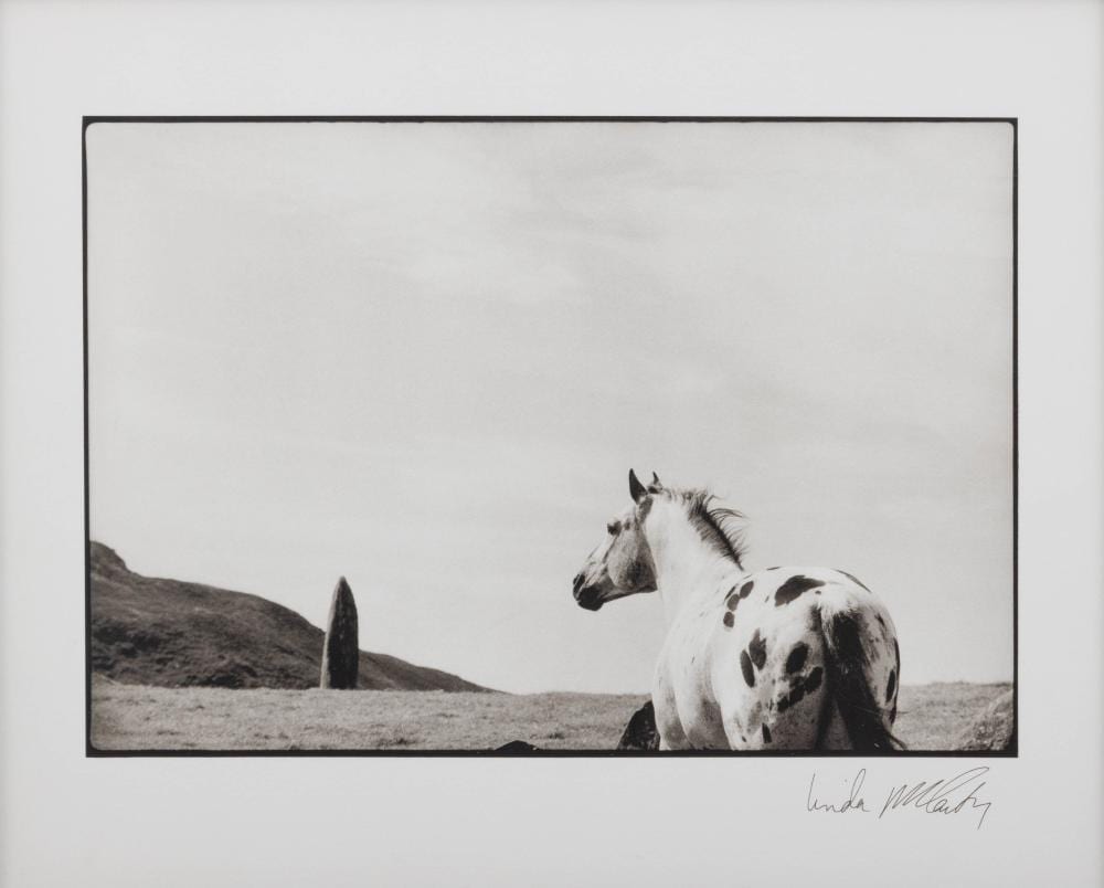 Linda McCartney comparable auction result: linda mccartney 1941 1998