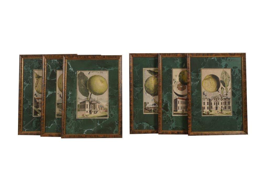 Johann Christoph Volckamer comparable auction result: johann christoph volckamer 1644 1720 six plates from nurnbergische hesperides