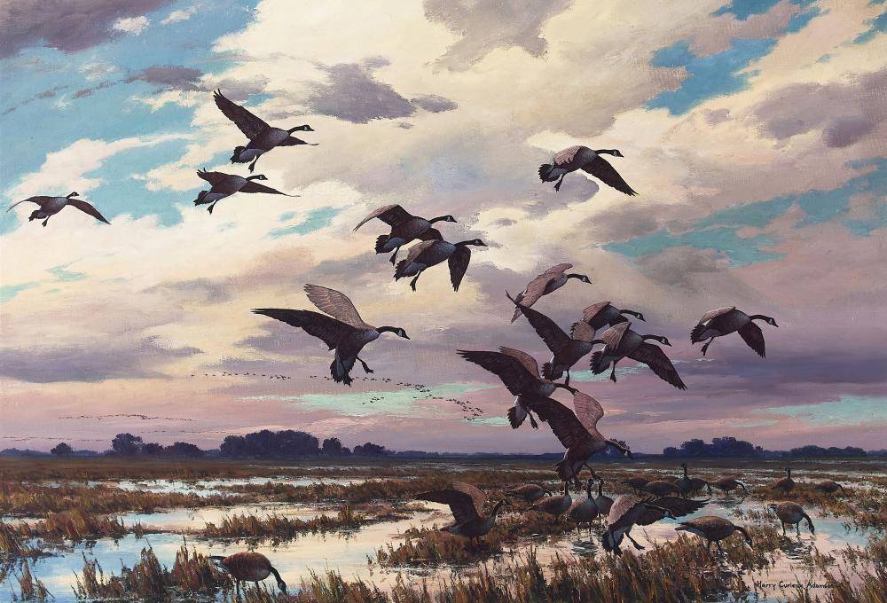 Harry Curieux Adamson comparable auction result: harry curieux adamson 1916 2012 canada geese marsh landing 22 x 32 in framed 27 x 36 1 2 in