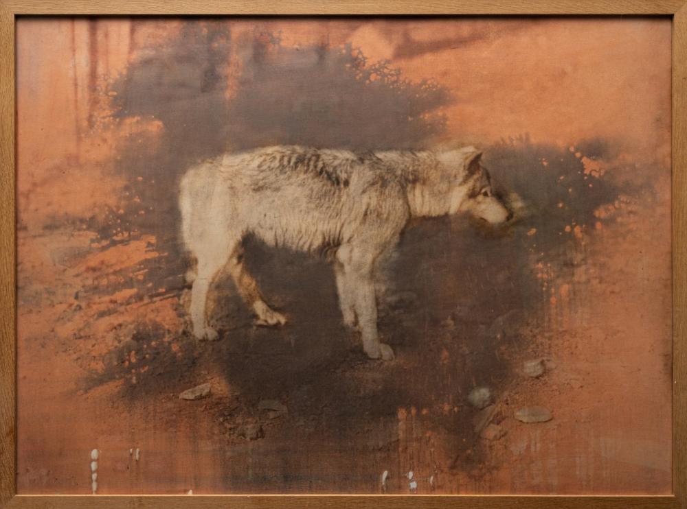 Alfons Alt comparable auction result: alfons alt born 1962