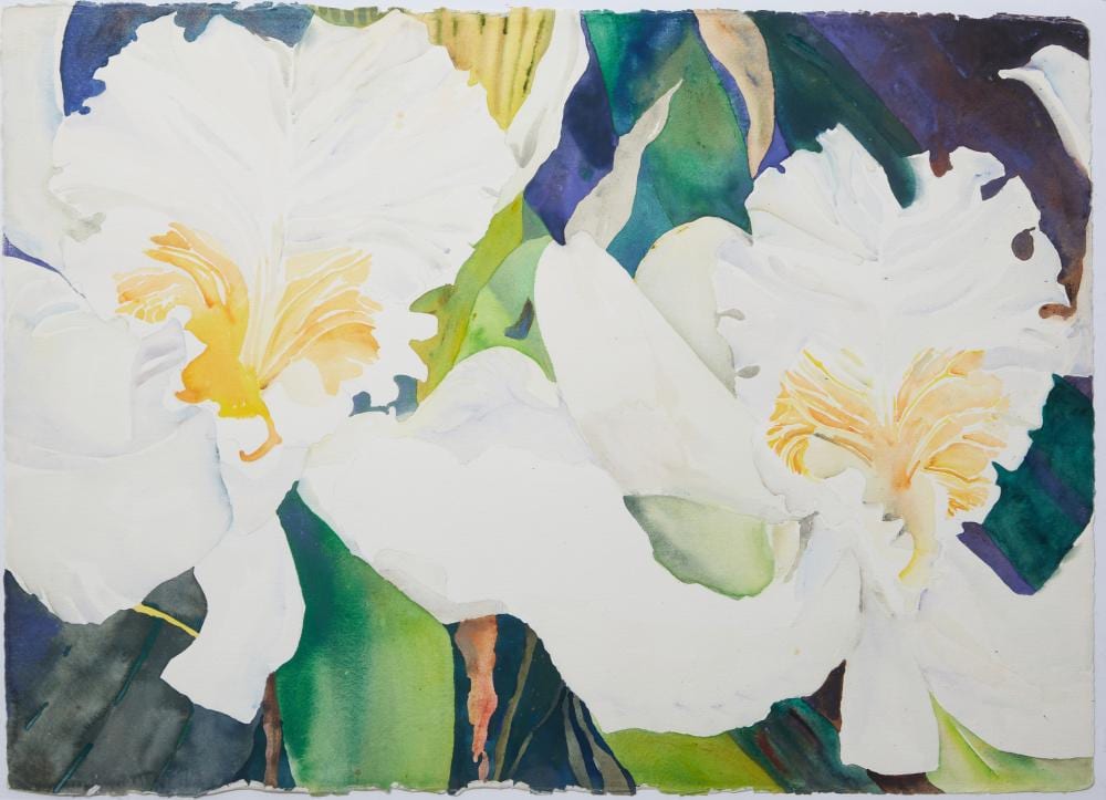 janice cartier american louisiana texas b 1952 white swamp lilies h 22 1 2 in w 30 in · Crescent City Auction Gallery · 2024-05-10 Janice Cartier comparable auction result: janice cartier american louisiana texas b 1952 white swamp lilies h 22 1 2 in w 30 in