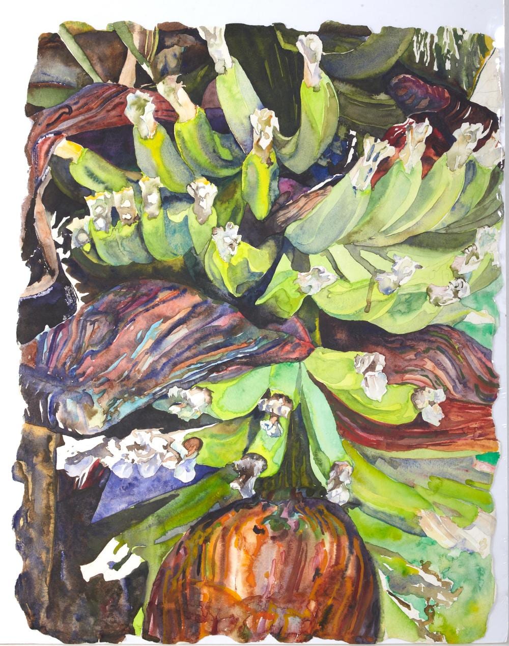 janice cartier american louisiana texas b 1952 banana plant h 21 1 2 in w 16 3 4 in · Crescent City Auction Gallery · 2024-05-10 Janice Cartier comparable auction result: janice cartier american louisiana texas b 1952 banana plant h 21 1 2 in w 16 3 4 in