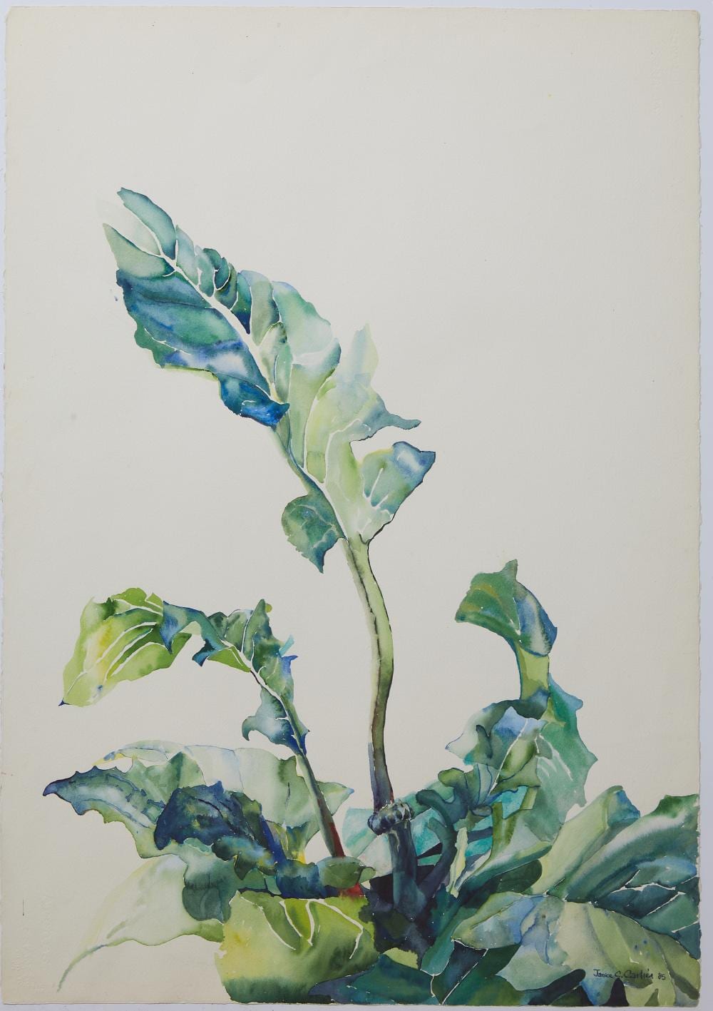 janice cartier american louisiana texas b 1952 dandelions 1985 h 22 1 2 in w 30 in · Crescent City Auction Gallery · 2024-05-10 Janice Cartier comparable auction result: janice cartier american louisiana texas b 1952 dandelions 1985 h 22 1 2 in w 30 in